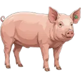 THE PEANUT-SILK NOODLES